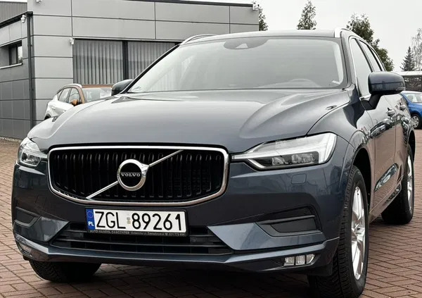 samochody osobowe Volvo XC 60 cena 118900 przebieg: 169000, rok produkcji 2019 z Strzelce Krajeńskie